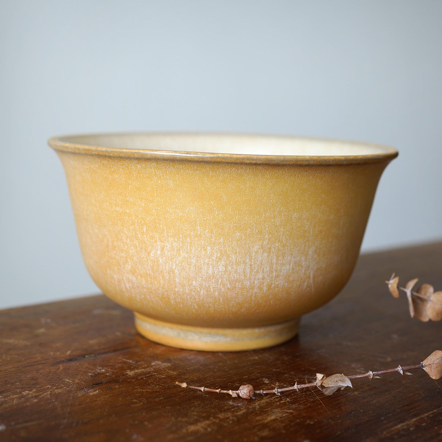 Extra Large Pho Bowl Noodle Bowl